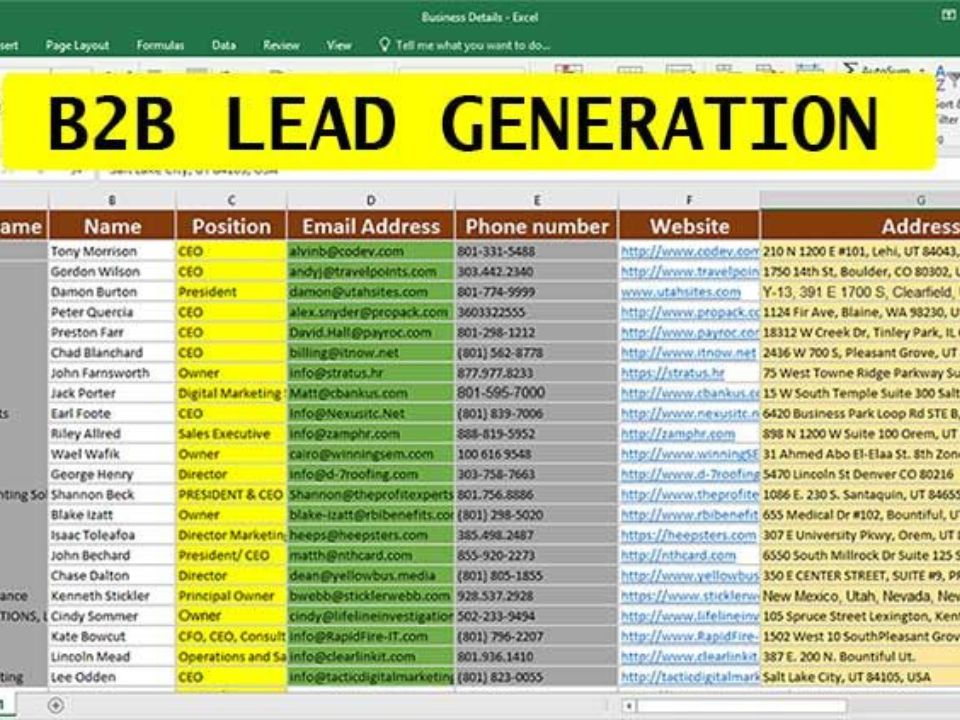 B2B Leads